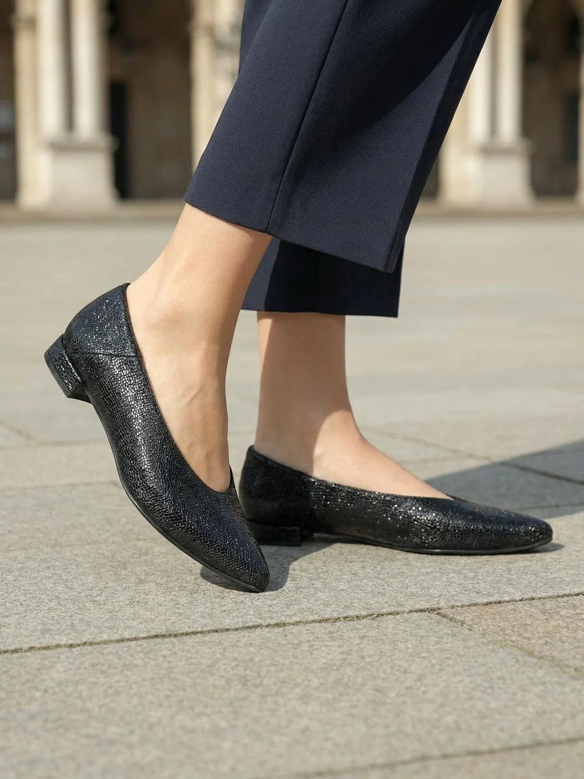 Swan Black